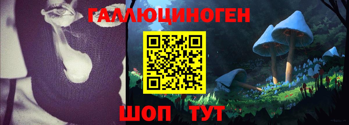 Псилоцибиновые грибы GOLDEN TEACHER  Вход с VPN  Галлюциногенные грибы мухоморы  Моздок 